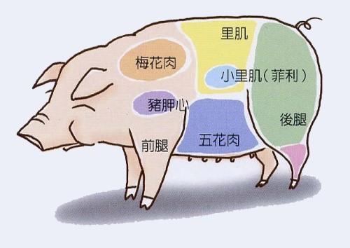 同样是五花肉上五花和下五花到底有啥区别别再乱买了