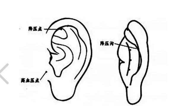 耳朵上有個血壓開關每天揉按兩次高血壓乖乖降下來