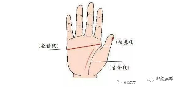 4,手相学真假断掌