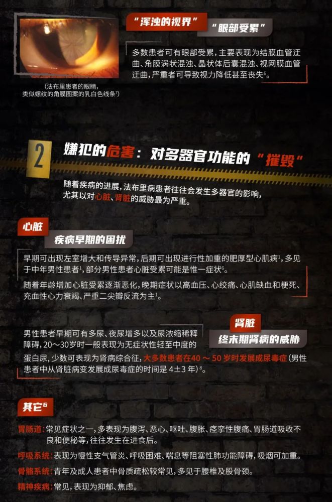 法布里|名医探案：嫌疑犯X的现身