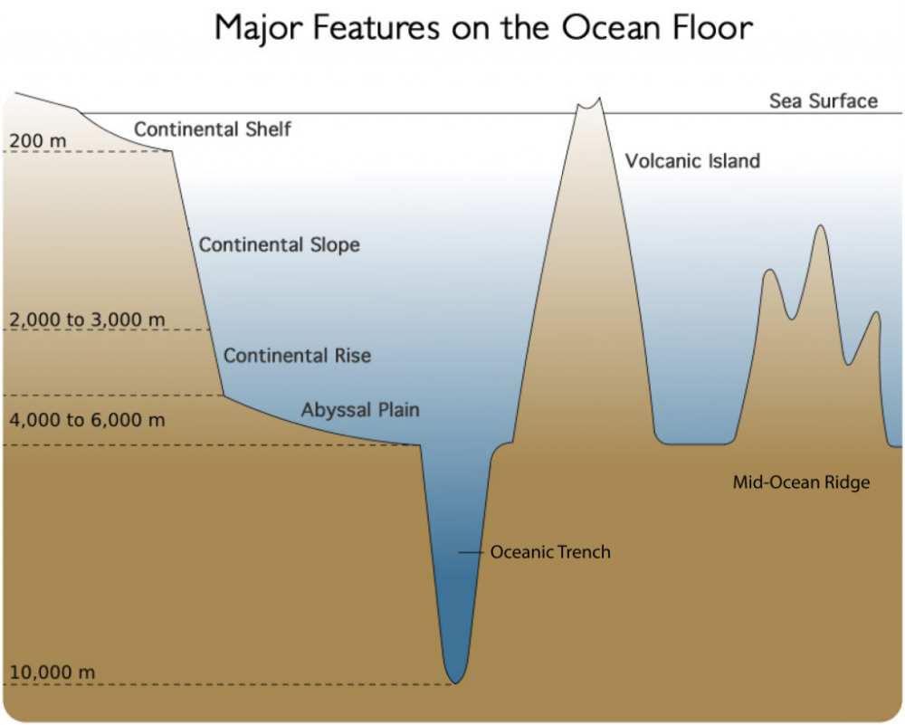 海啸|如果在海里潜水时恰好发生地震，会看到何种景象？