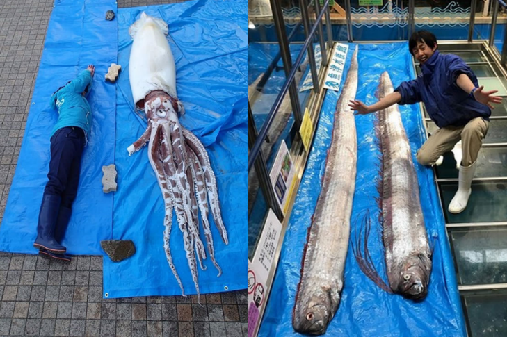 海啸|如果在海里潜水时恰好发生地震，会看到何种景象？