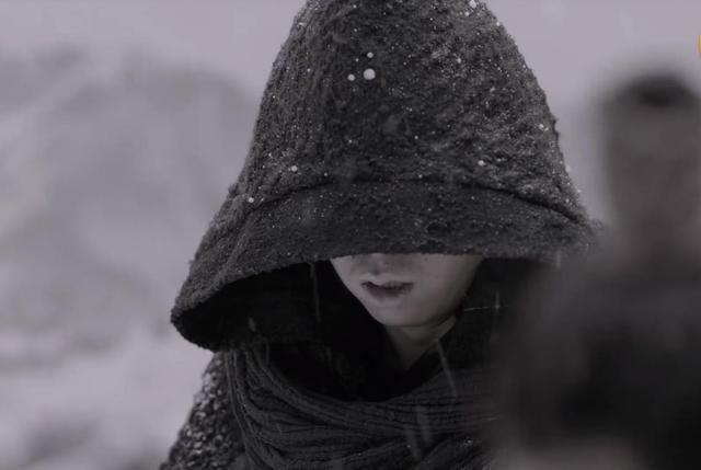 庆余年2|《庆余年2》四大宗师齐上线，叶轻眉是隐藏主角，王倦发布会实锤