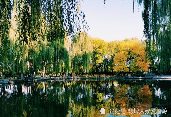 北京|北京有个休闲健步景点，拥有仿真火车头，周末休闲放松好去处！