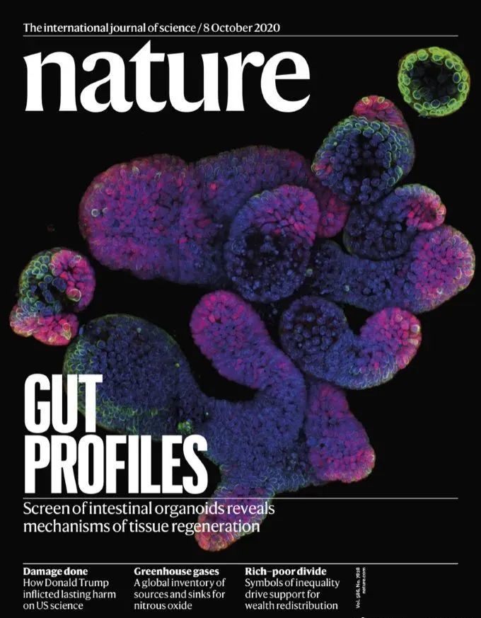 钠离子|Nature 一周论文导读｜2020年10月8日