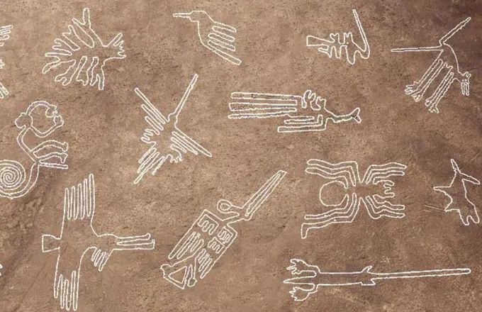 纳斯卡线(nasca lines)是一种巨大的地理标志(图案,图案为各种植物