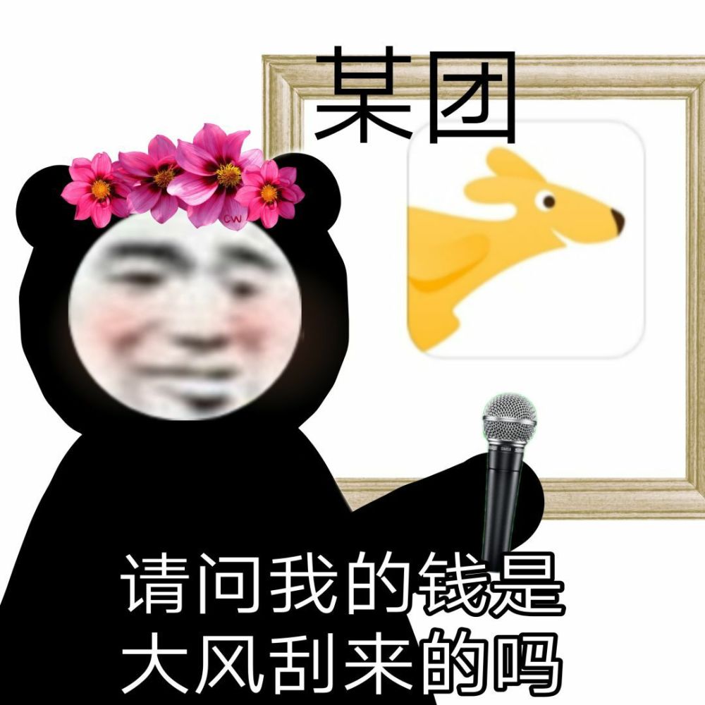 表情包請問我的錢是大風颳來的嗎