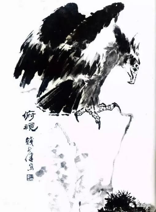 书画联盟丨写意鹰的画法