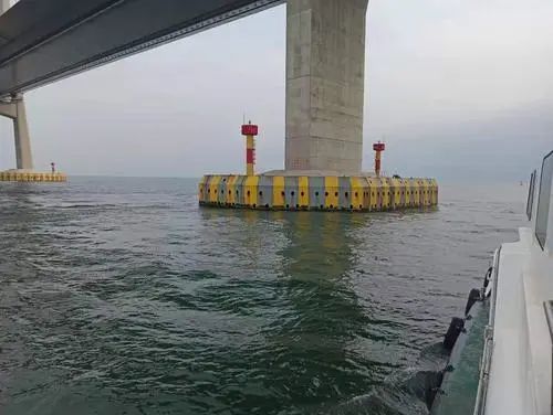 钓鱼竟钓到港珠澳大桥桥墩上去了果然被抓