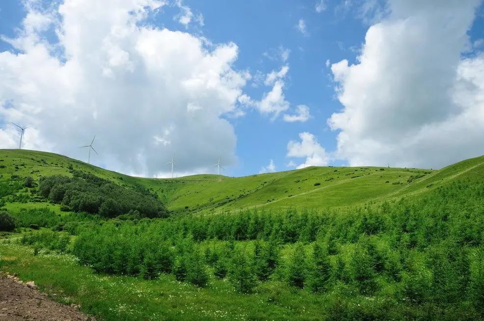 加格达奇|G111——从北京到加格达奇