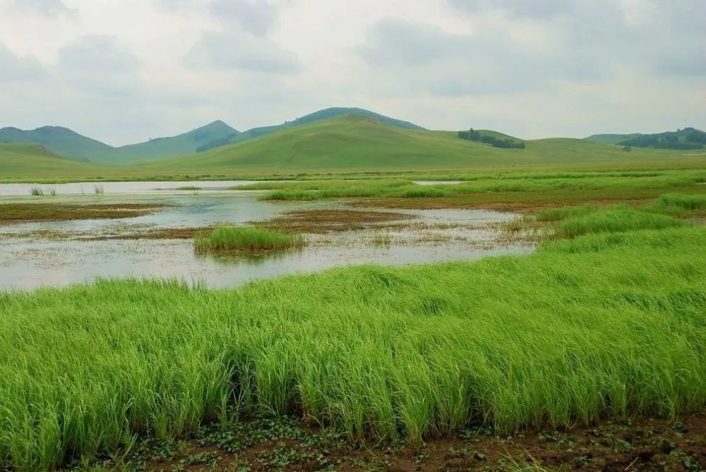加格达奇|G111——从北京到加格达奇