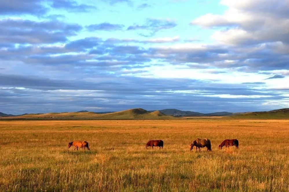加格达奇|G111——从北京到加格达奇