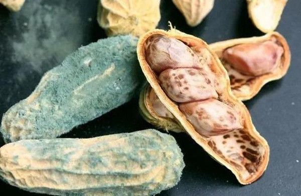 食品安全|“鸡西酸汤子中毒”已致8人死亡！这些食品安全问题你一定要知道！