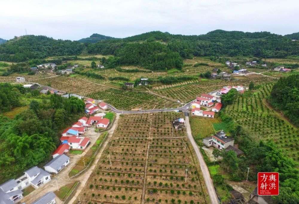 射洪市建百里農環線這幾個鎮受益