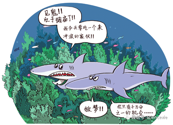 大脑|比起日常生活中的高风险隐患，为什么我们更畏惧那些低概率事件？