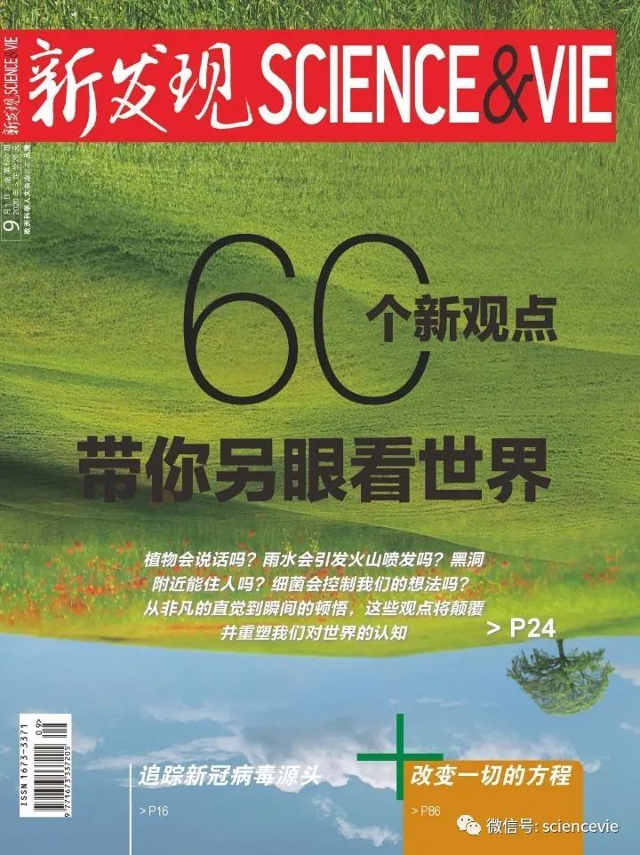 大脑|比起日常生活中的高风险隐患，为什么我们更畏惧那些低概率事件？