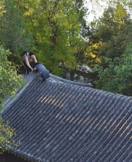 北海公园|北海公园两游客爬上古建房顶 公园已进行调查并加强同一位置巡查