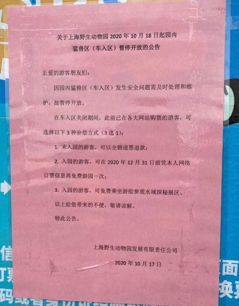 游客讲述上海野生动物园游览经历-WordPress极简博客