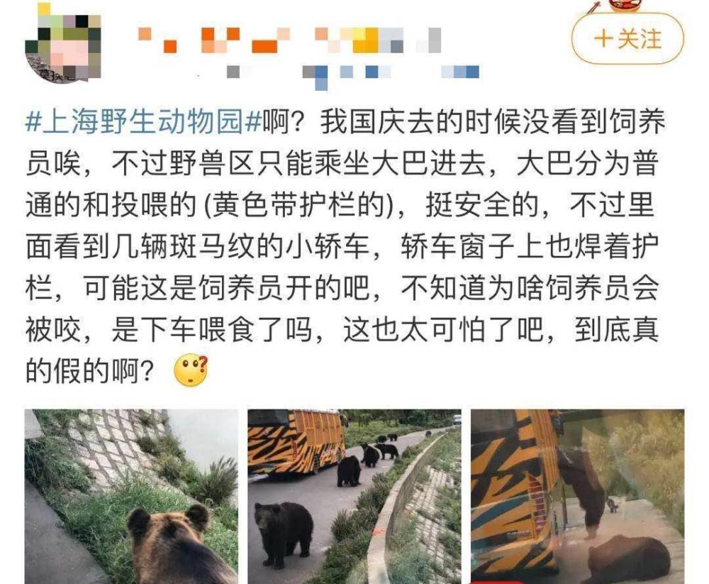 游客讲述上海野生动物园游览经历-WordPress极简博客