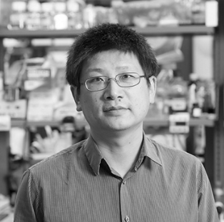 美国国家医学科学院|重磅！5位华人当选美国国家医学科学院院士，王辰当选外籍院士！