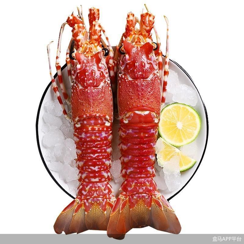 北京卫健委|选购进口冷冻冰鲜需要注意什么？北京卫健委权威提醒