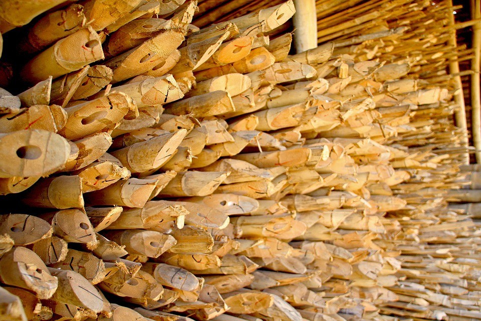 如何建设竹标准材市场 腾讯新闻