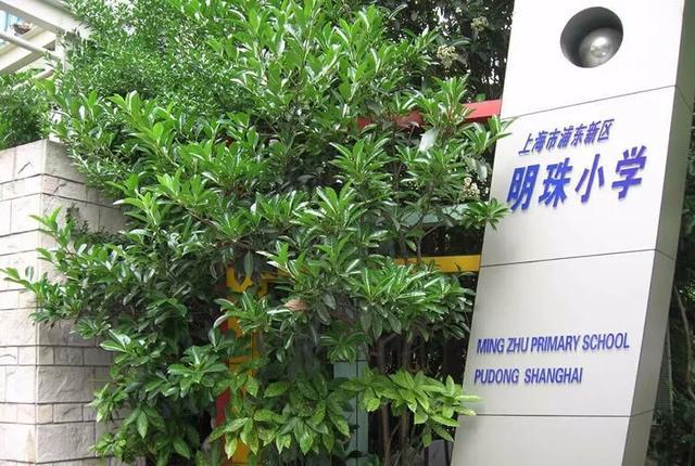 在浦东,明珠小学各区是目前唯一一个以同一学段学校组成的"集团.