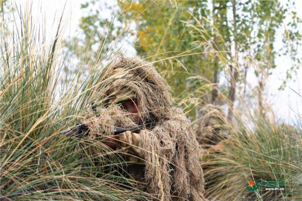 丛林埋伏.韩强 摄 图片来源:中国军网