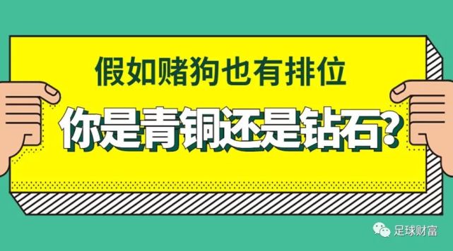 足球财富假如赌狗也有排位你是青铜还是钻石