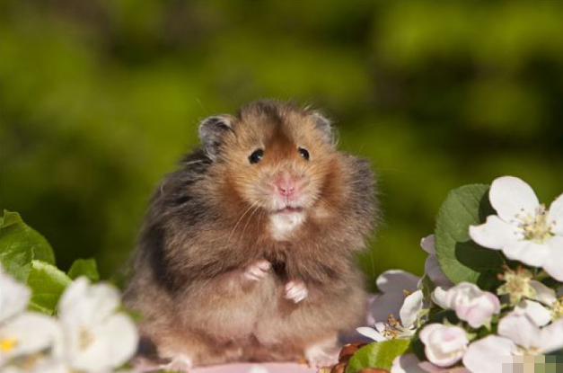 子鼠人 10月30号这个人出现在你家门口 是你下半年最棒的贵人 腾讯新闻