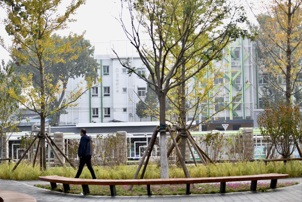 东城区|曾是核心区规模最大简易楼，今重拾天坛外坛自然野趣