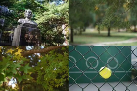 北京第二外国语学院|北京第二外国语学院怎么样，看它的学科专业