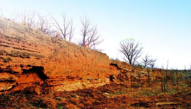 临济县|章丘县志|中国古今地名大辞典|济水|章丘县|古国|道光|戚城
