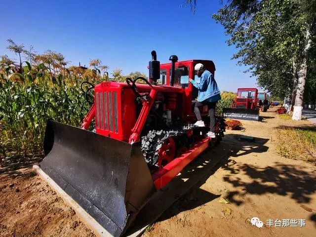 谷子|金黄的谷穗、火红的高粱，丰台这里的谷子开始收割啦