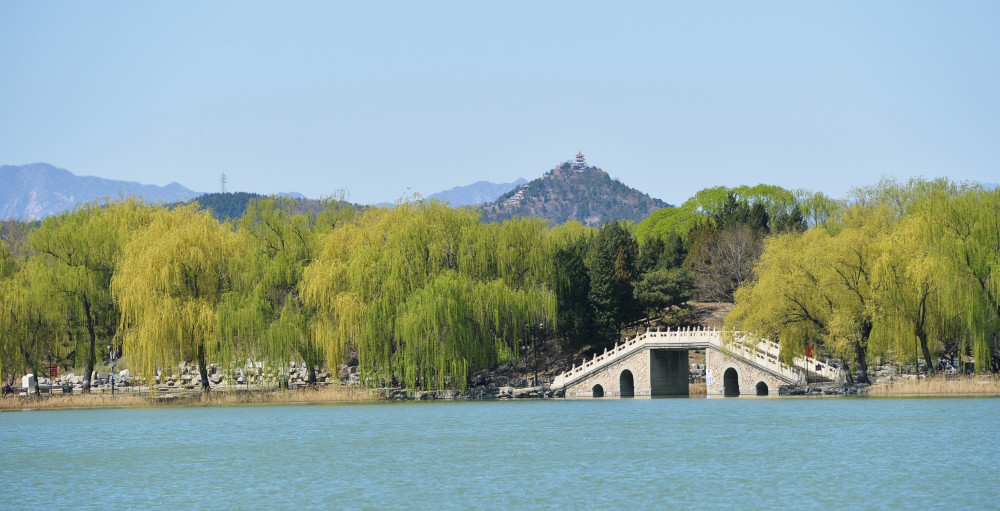 圆明园遗址公园|有游客进入圆明园非游览区域，文物幸未遭破坏