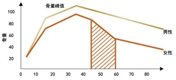 骨量是什么意思 腾讯网