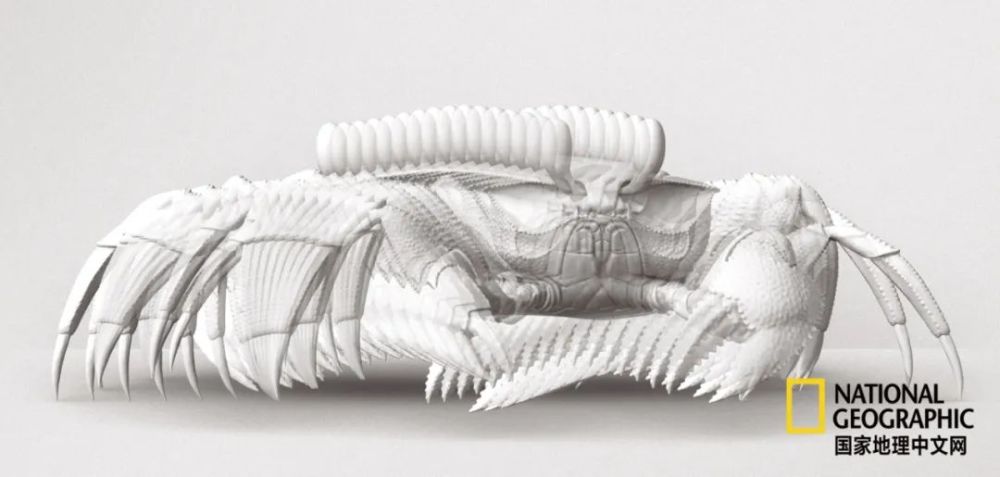 骨质疏松|这一堆堆的白骨，居然活了