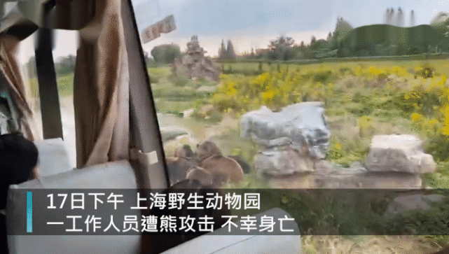 上海一饲养员被熊群撕咬身亡,知情人:家境殷实,还是拆迁户!