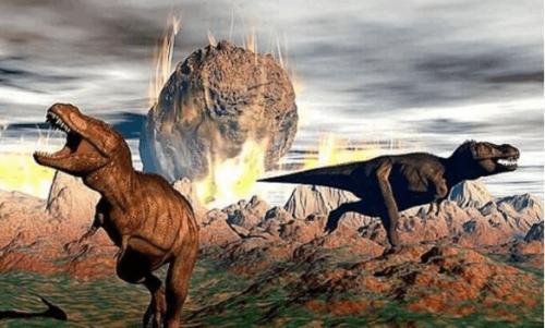 灭绝|我们正处于第6次物种大灭绝中？地球经历了5次，第6次离我们还有多远