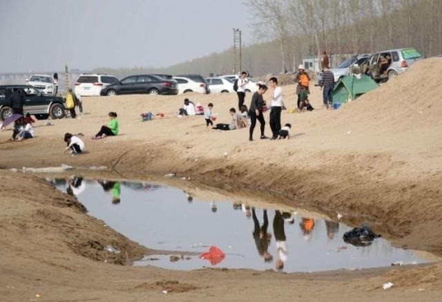毛乌素沙漠|中国一沙漠8成变绿洲，老外直呼奇迹，但有谁注意到动物的变化