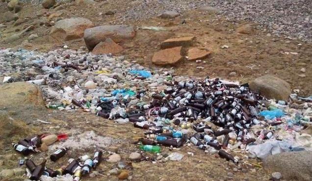 毛乌素沙漠|中国一沙漠8成变绿洲，老外直呼奇迹，但有谁注意到动物的变化