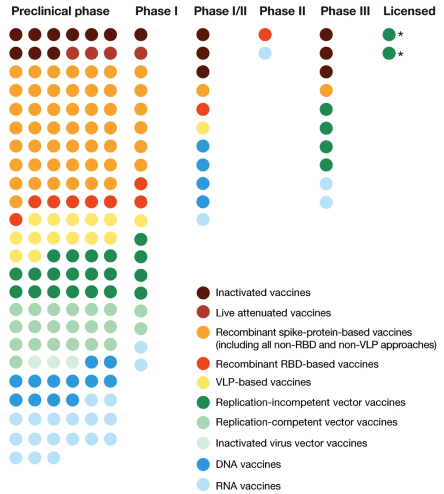 人类免疫缺陷病毒|“最大浪潮”即将来临，新冠疫苗或增加HIV易感性