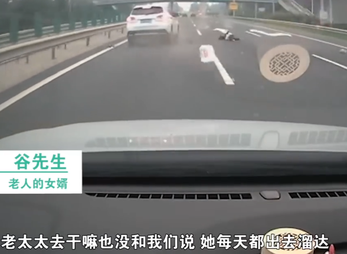 高速公路|七旬老太横穿高速被撞身亡负主责 家属：2个偶然导致事故