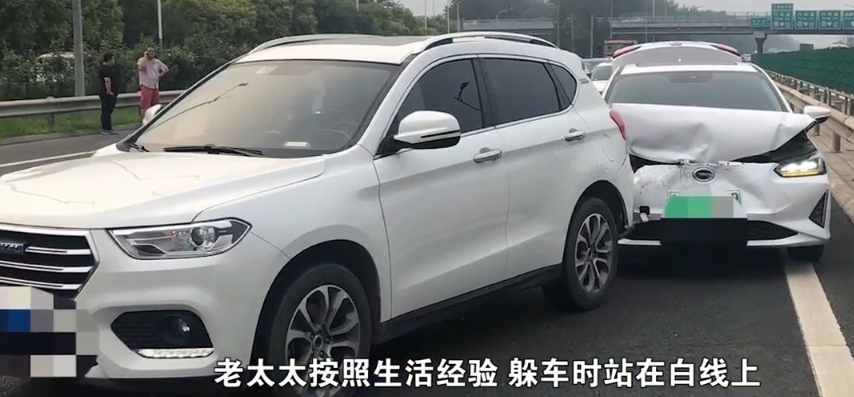 高速公路|七旬老太横穿高速被撞身亡负主责 家属：2个偶然导致事故