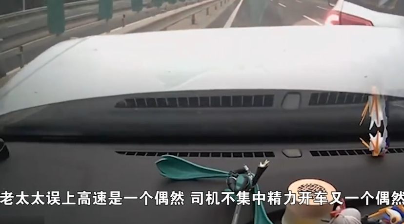 高速公路|七旬老太横穿高速被撞身亡负主责 家属：2个偶然导致事故