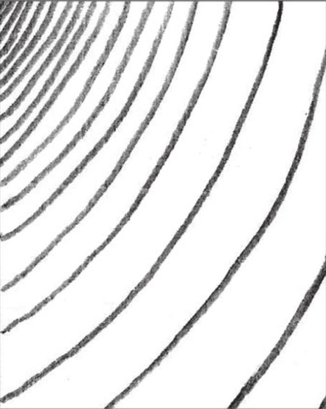 我的素描学习之路线条的认识及练习方法