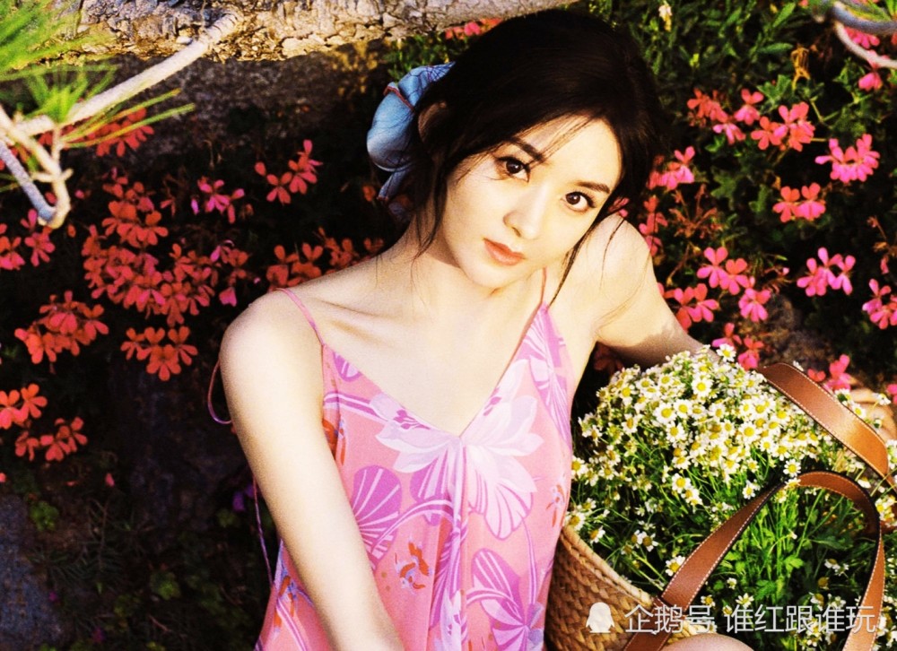 赵丽颖|一个是赵丽颖接班人，一个神似赵丽颖？别闹，先有一部上星剧再蹭