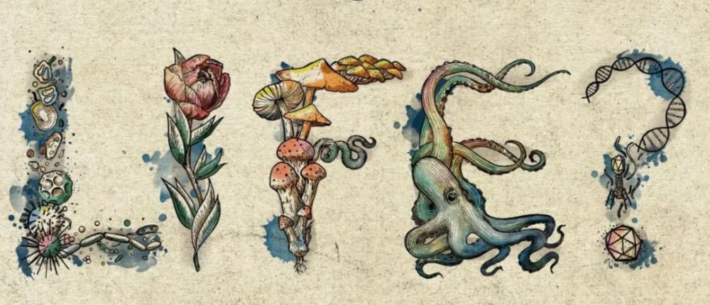 算法|什么是演化算法｜集智百科