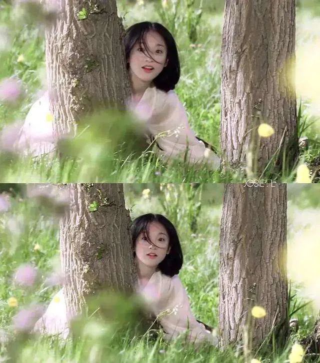 童星|“红过”，是童星逃不过的心酸