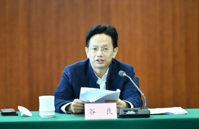 周例会,谷良同志主持会议,集团班子成员欧阳翀,李红,廖华军及相关部门